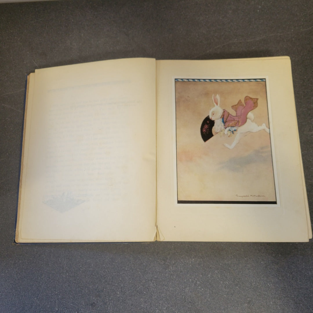 ALICE IN WONDERLAND c1922 Lewis Carroll Boots Chemist Vintage Hardback