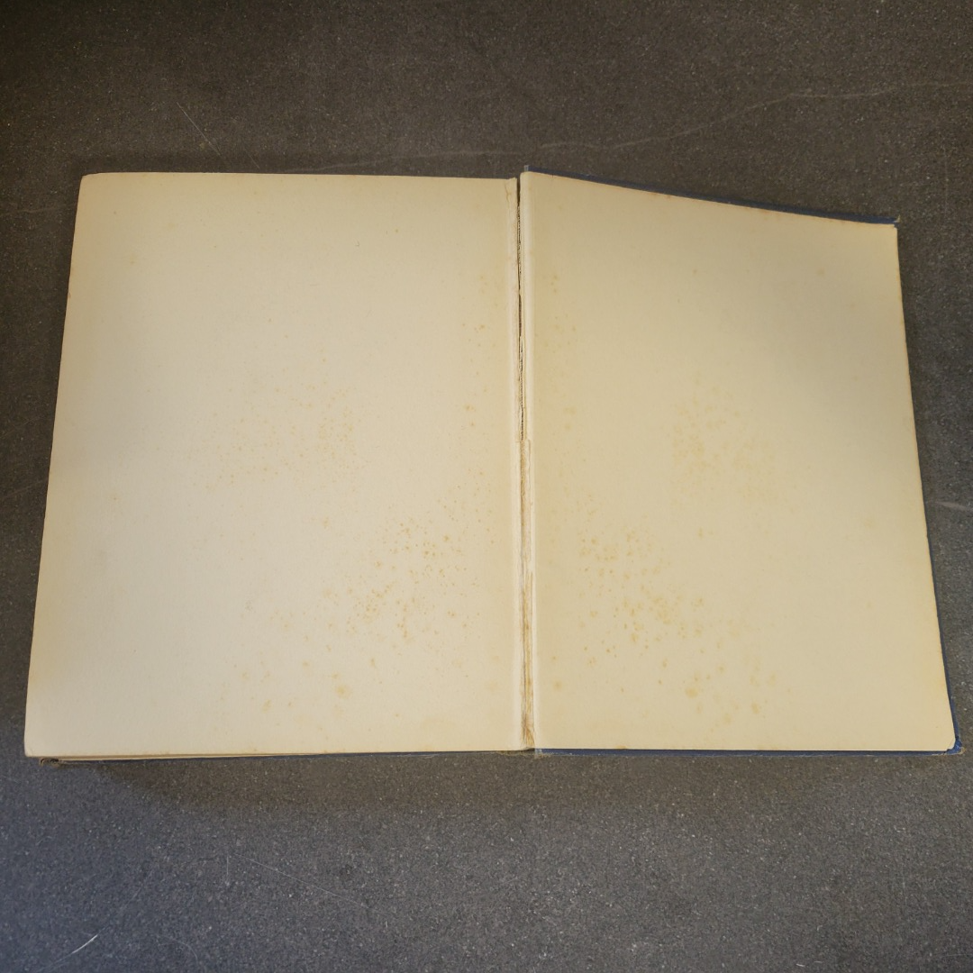 ALICE IN WONDERLAND c1922 Lewis Carroll Boots Chemist Vintage Hardback
