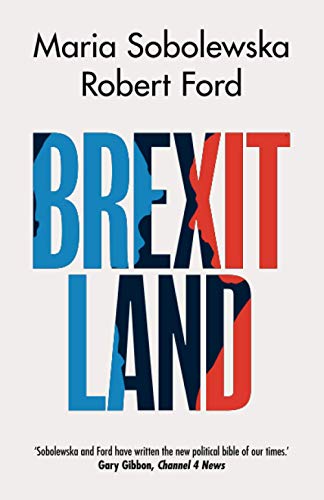 Brexitland: Identity, Diversity and the Reshaping of British Politics [Paperback] Sobolewska, Maria