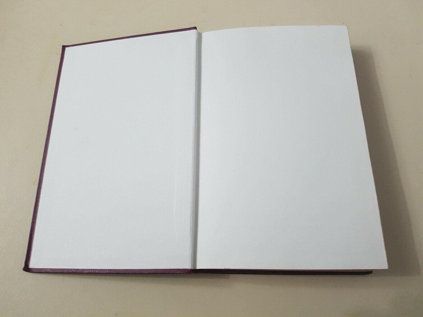 Eb3001 The  Methodist Hymnal Edited by Hazel Watson Viney Ltd Red Edged pages