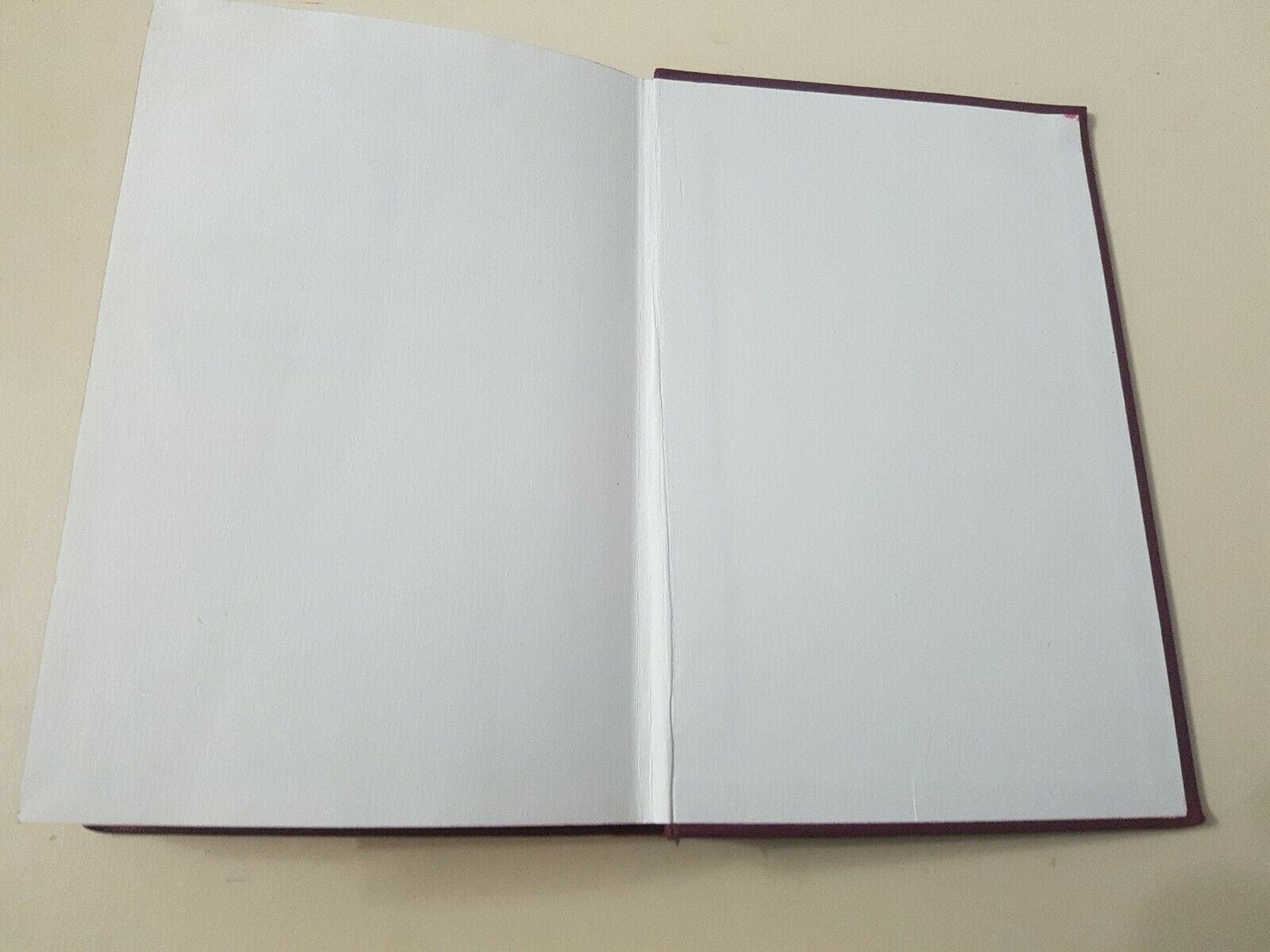 Eb3001 The  Methodist Hymnal Edited by Hazel Watson Viney Ltd Red Edged pages
