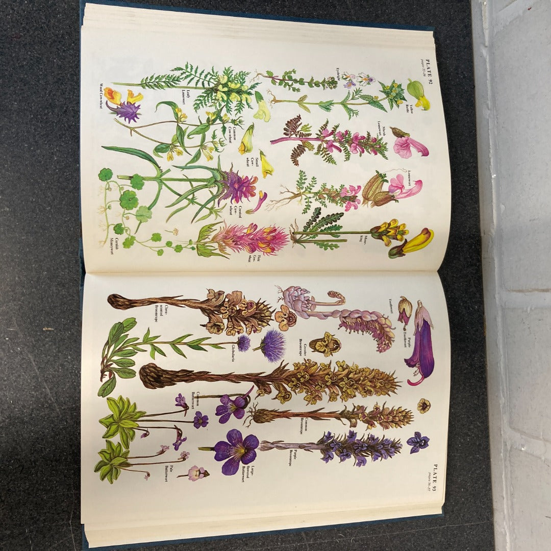 The Wild Flowers of Britain & Northern Europe Book Club Edition 1978